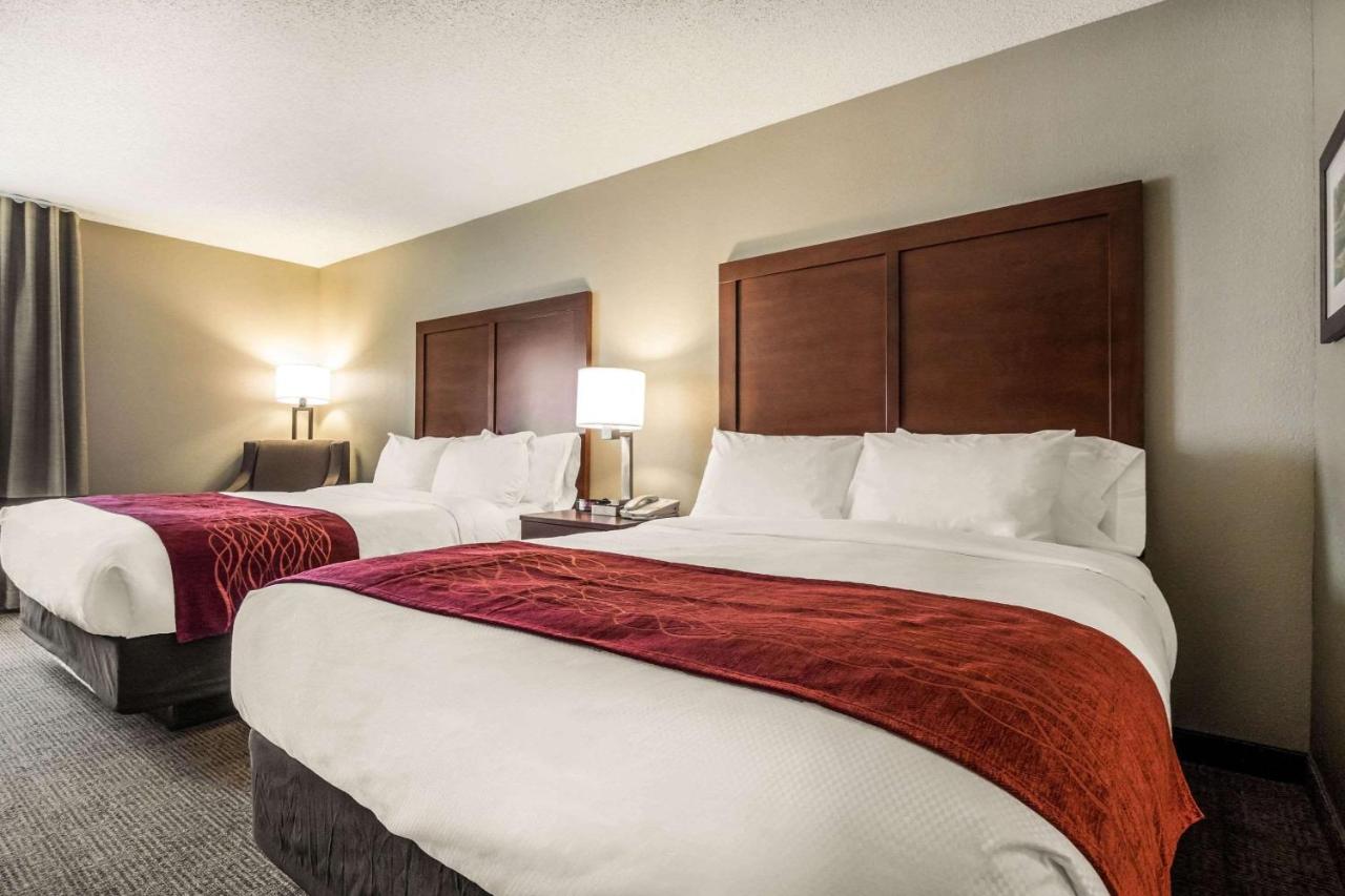 Standard Queen Room with Two Queen Beds at Comfort Inn Ottawa Starved Rock Area