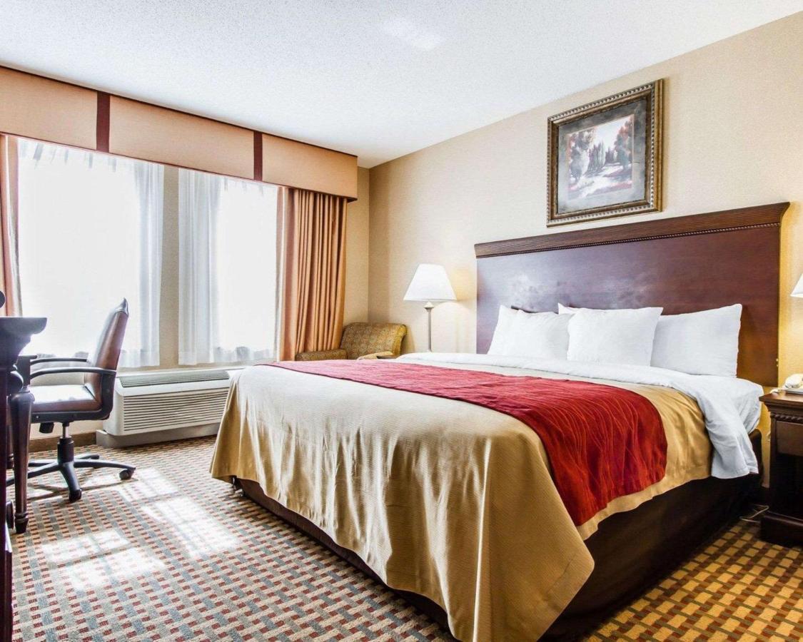 | Comfort Inn & Suites Scarborough