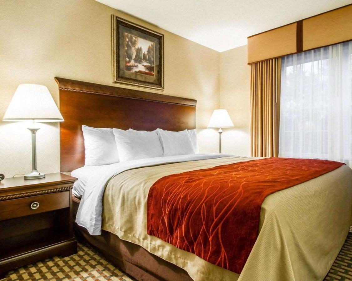 | Comfort Inn & Suites Scarborough