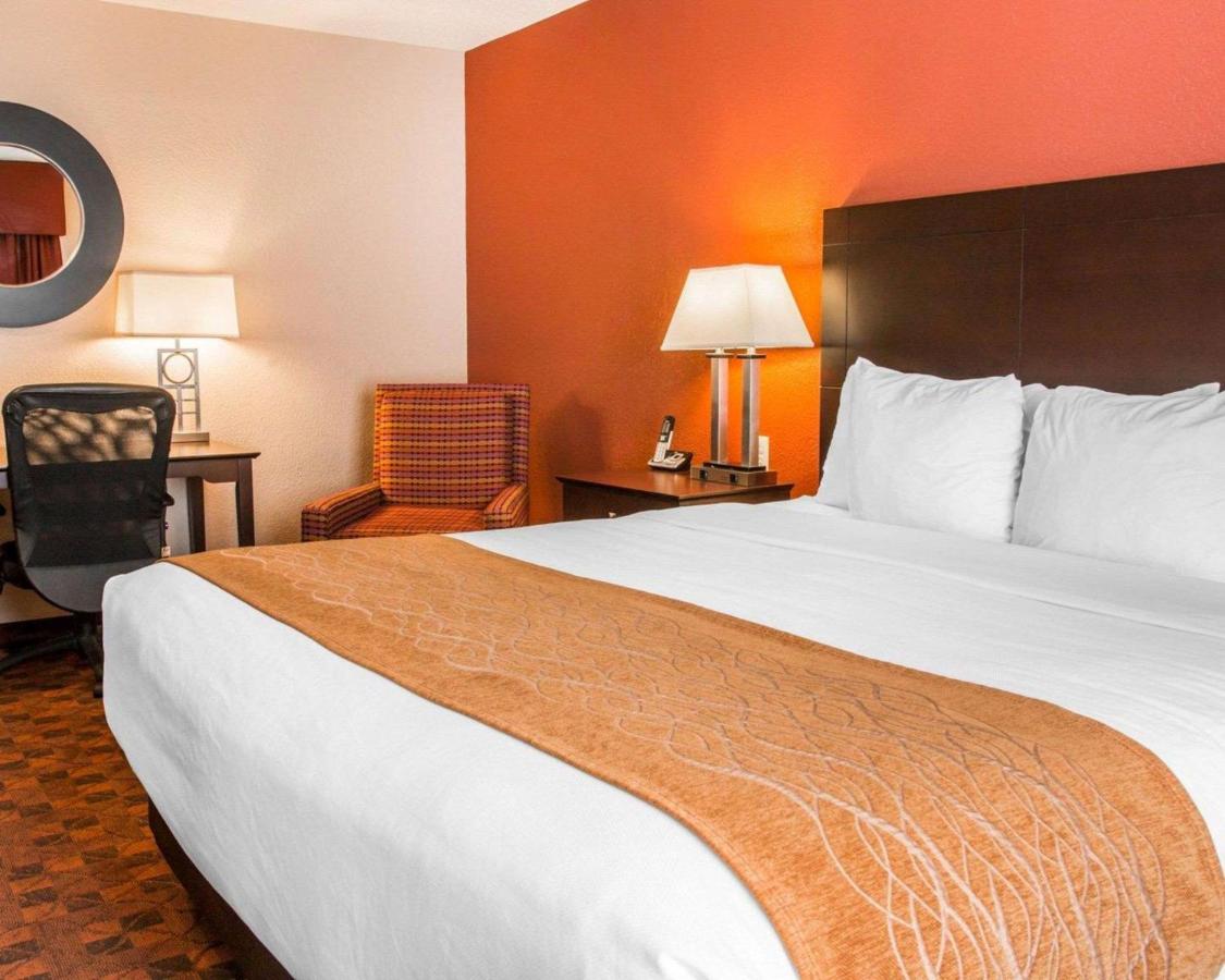King Suite - Non-Smoking at Comfort Inn & Suites and Conference Center