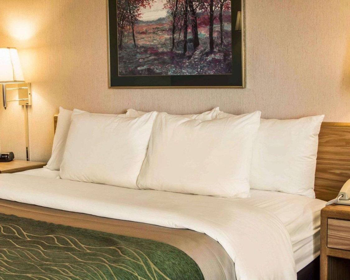 Room #49032904 at Comfort Inn Charlotte