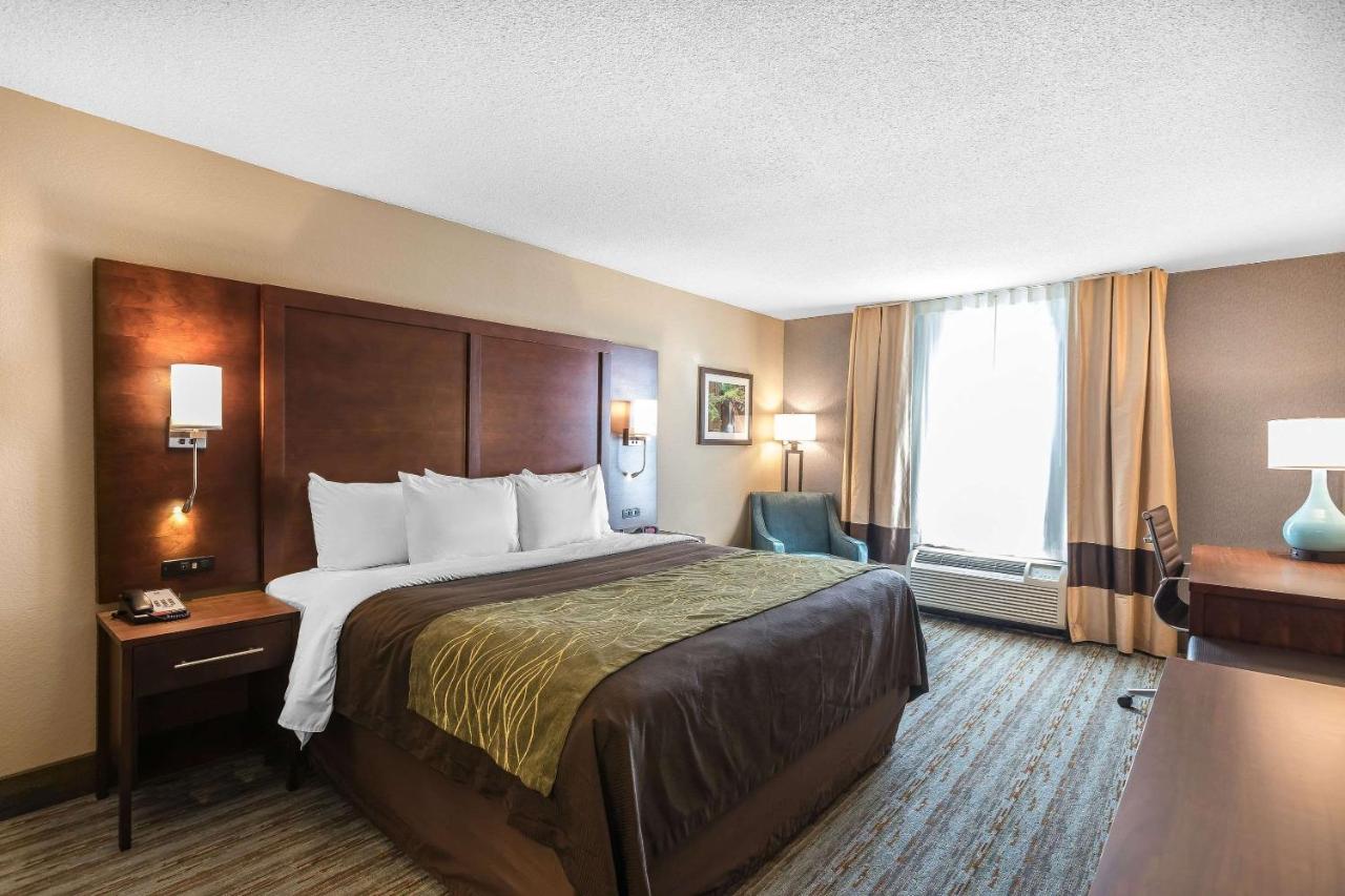 King Room with River View at Comfort Inn Bay City - Riverfront