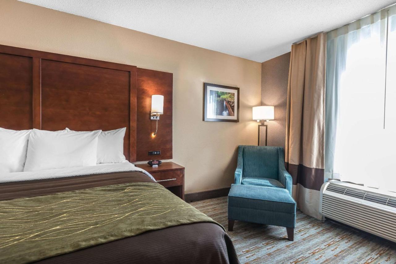King Room with River View at Comfort Inn Bay City - Riverfront