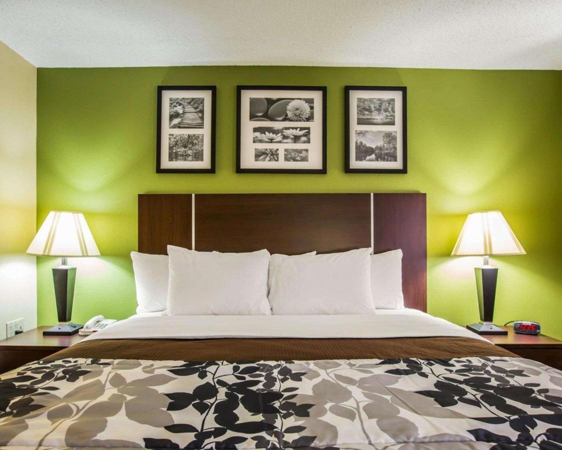 King Room - Non-Smoking at Sleep Inn Asheville - Biltmore West