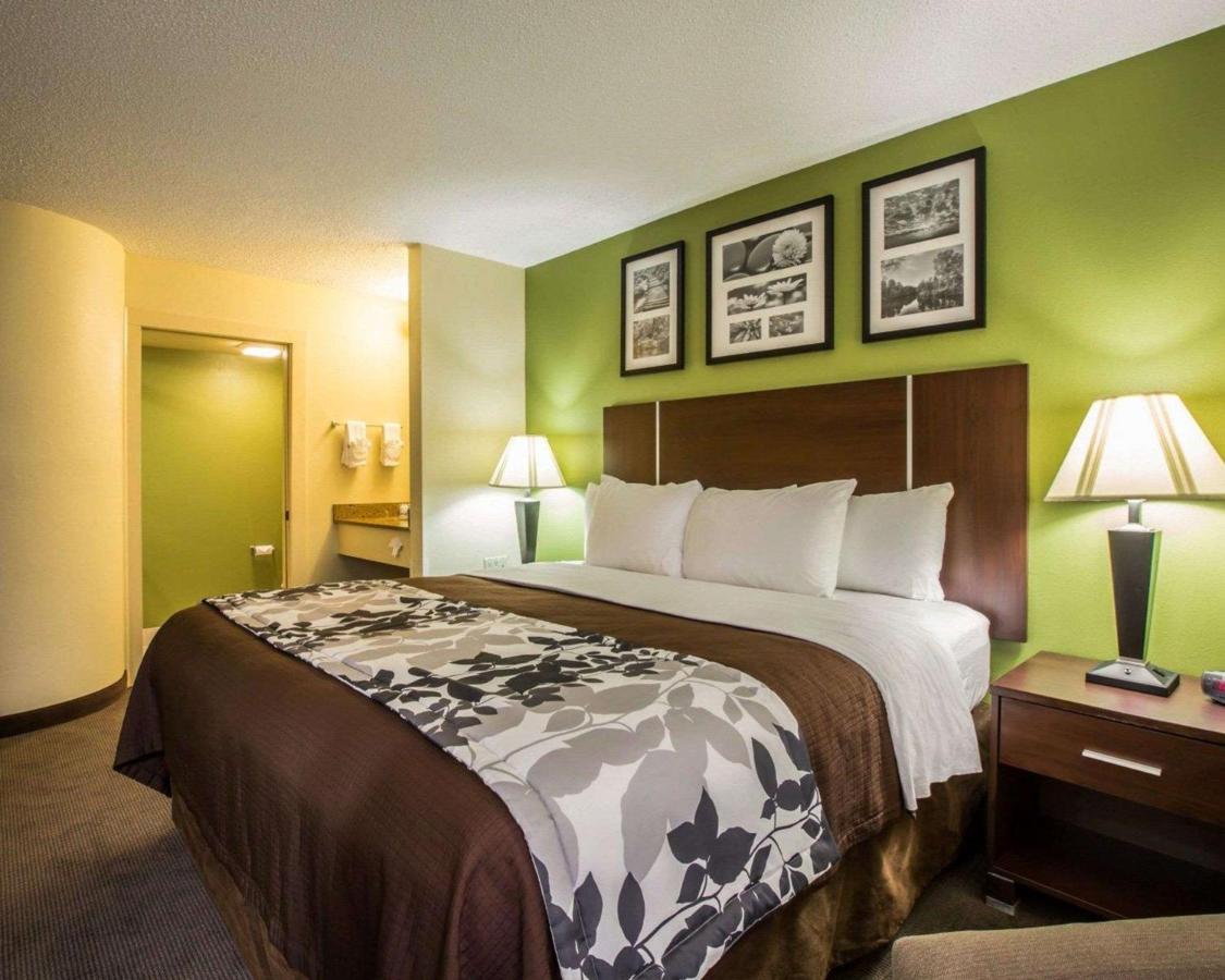 King Room - Non-Smoking at Sleep Inn Asheville - Biltmore West