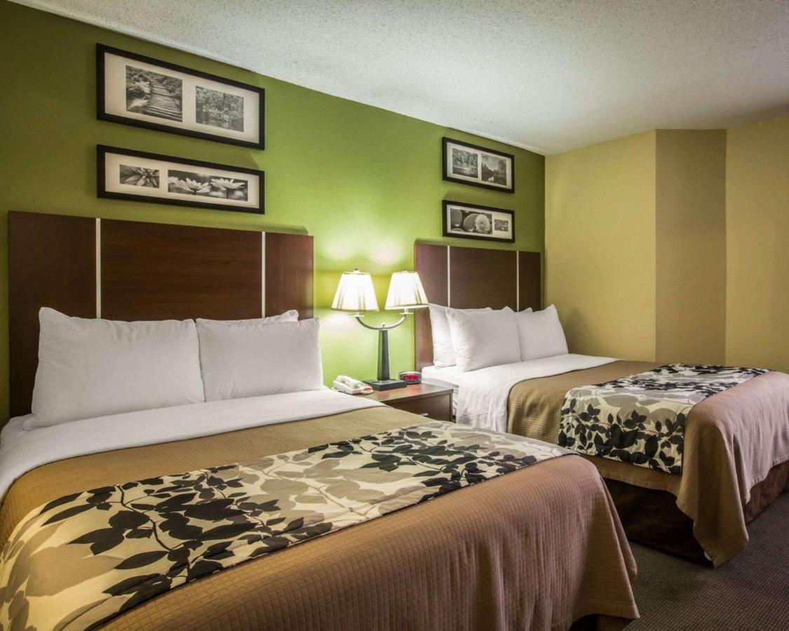 Double Room with Two Double Beds - Non-Smoking at Sleep Inn Asheville - Biltmore West