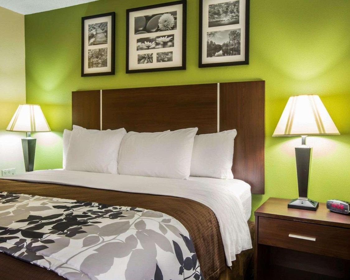 King Room - Non-Smoking at Sleep Inn Asheville - Biltmore West