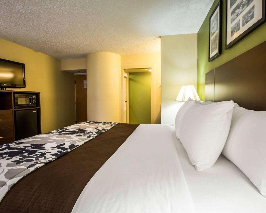 King Room - Non-Smoking at Sleep Inn Asheville - Biltmore West
