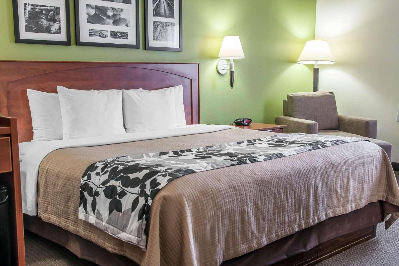 King Room - Non-Smoking at Sleep Inn & Suites Conference Center and Water Park