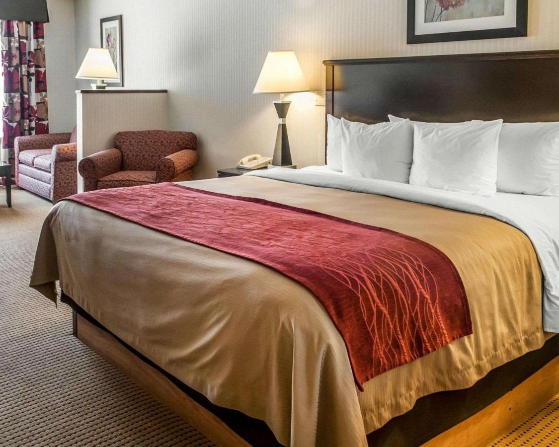 King Suite - Non-Smoking at Quality Inn & Suites Farmington