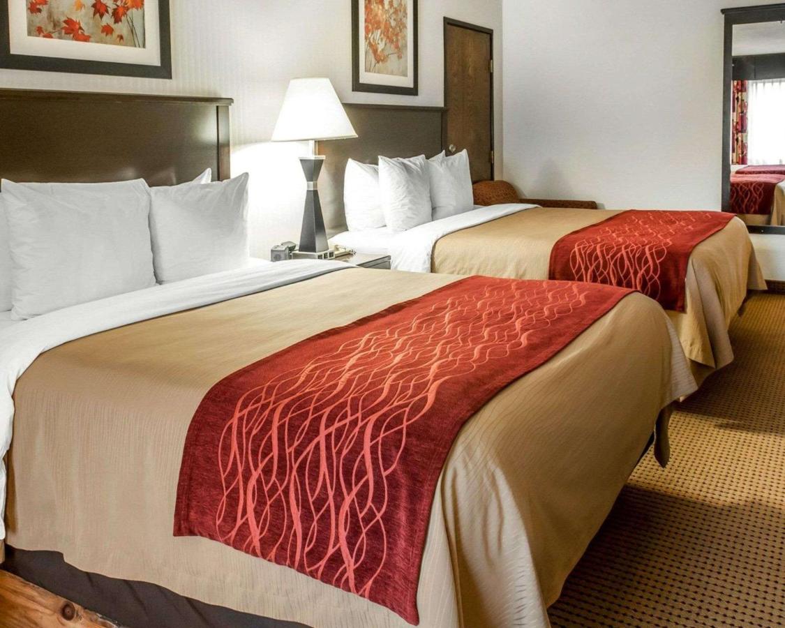 Queen Suite - Non-Smoking at Quality Inn & Suites Farmington