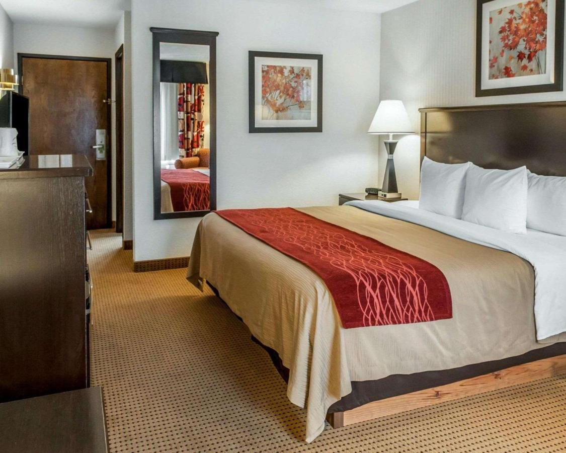 King Room - Non-Smoking at Quality Inn & Suites Farmington