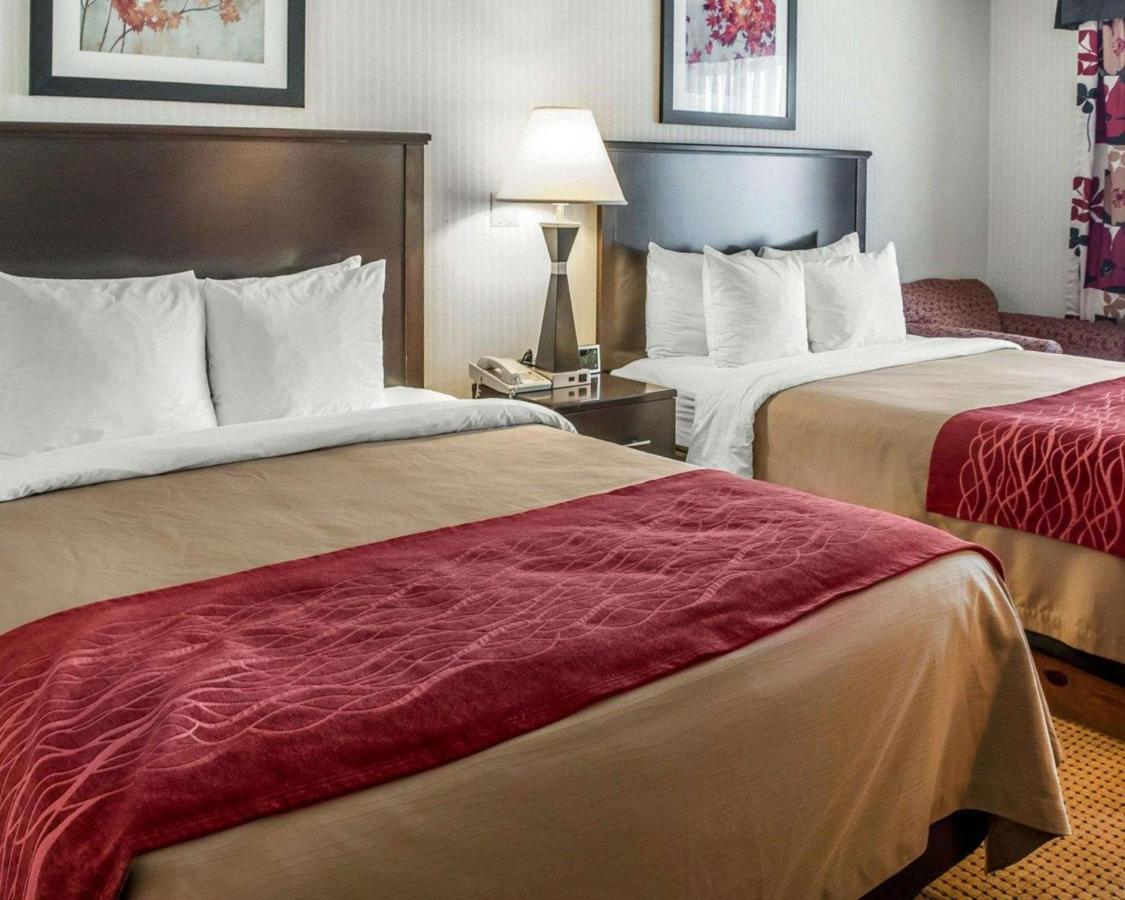 Queen Room with Two Queen Beds - Non-Smoking at Quality Inn & Suites Farmington