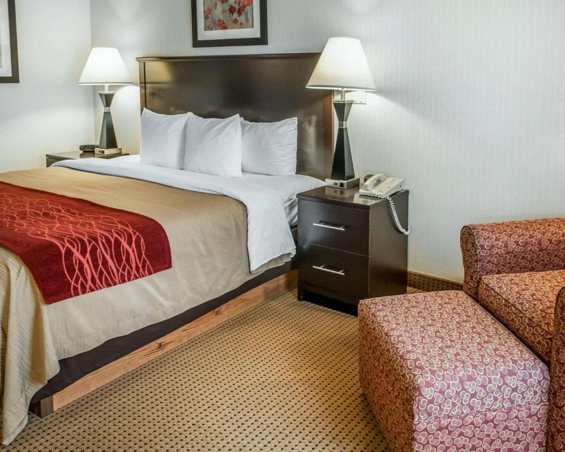 King Room - Non-Smoking at Quality Inn & Suites Farmington