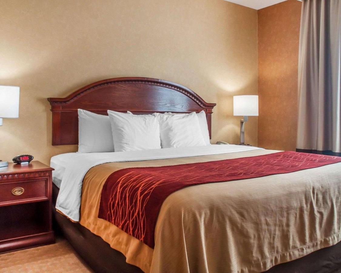 | Quality Inn Near Walden Galleria Mall