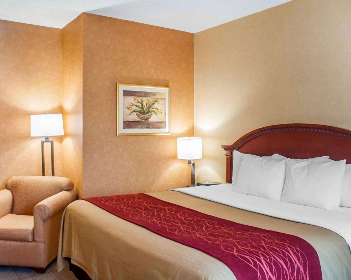 | Quality Inn Near Walden Galleria Mall