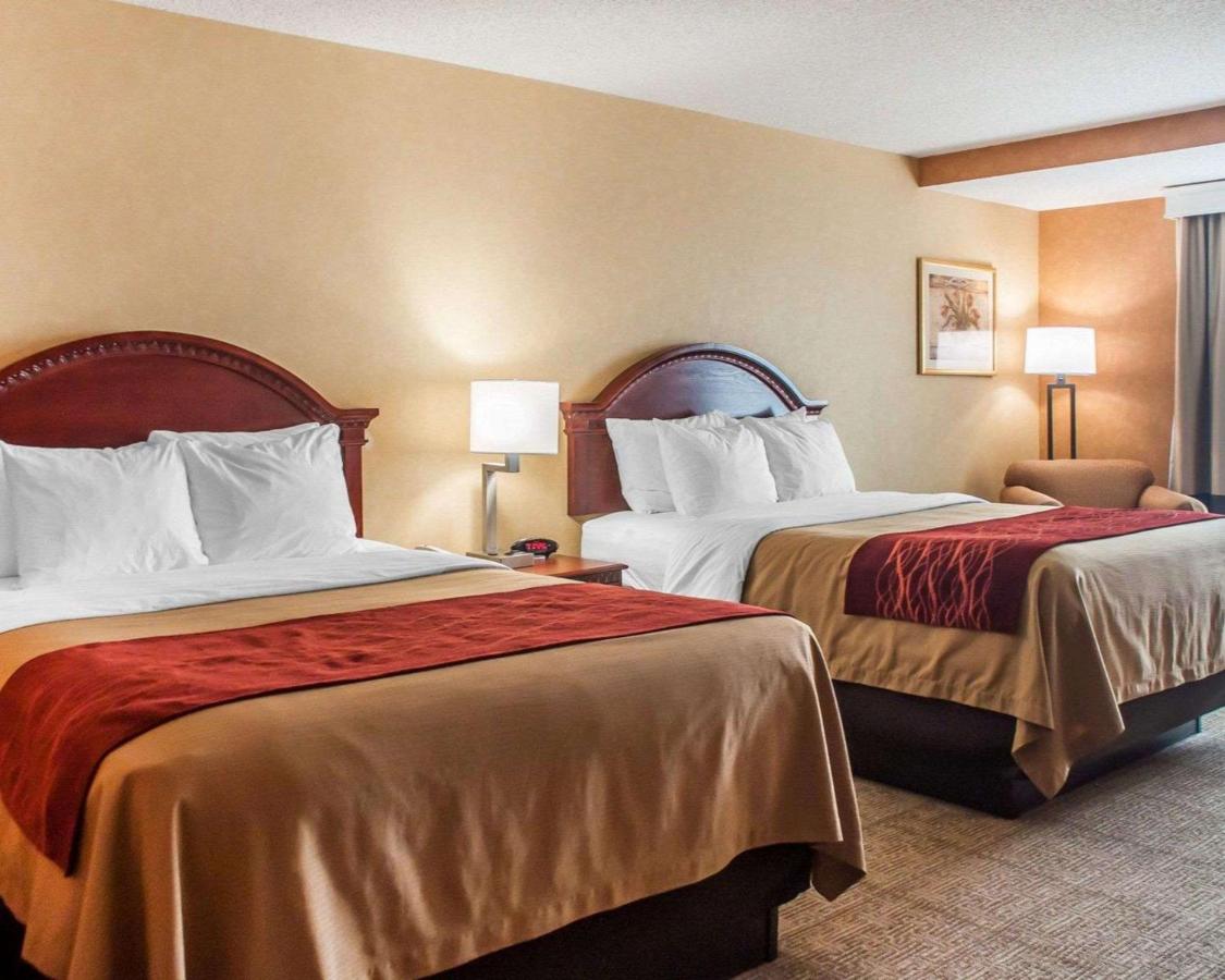 | Quality Inn Near Walden Galleria Mall