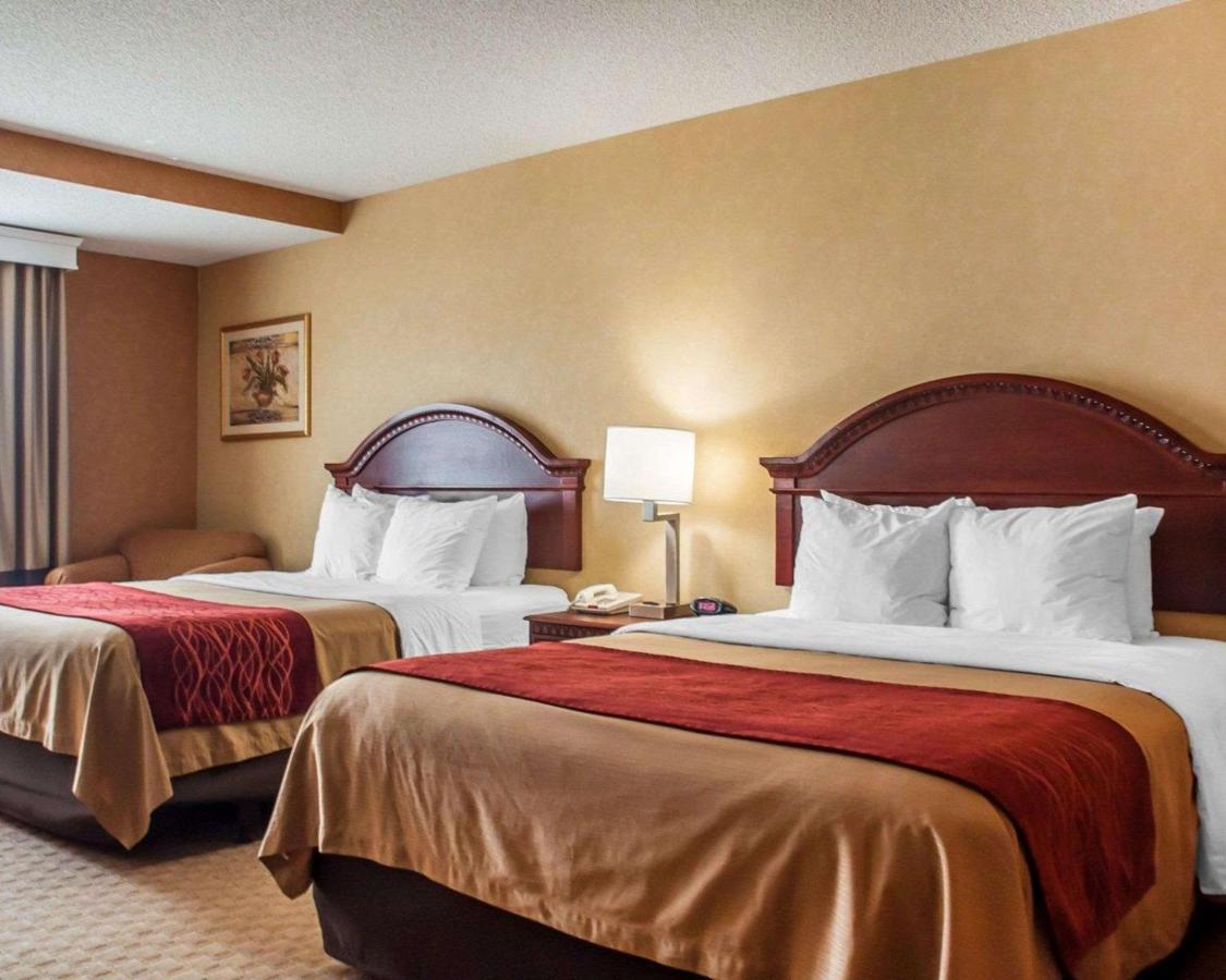 | Quality Inn Near Walden Galleria Mall
