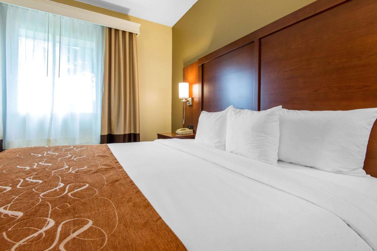 | Comfort Suites Rochester Henrietta University Area