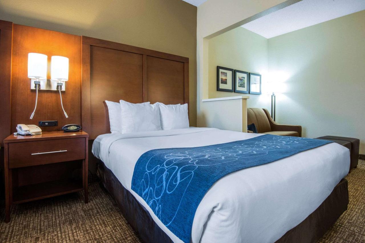 | Comfort Suites Rochester Henrietta University Area