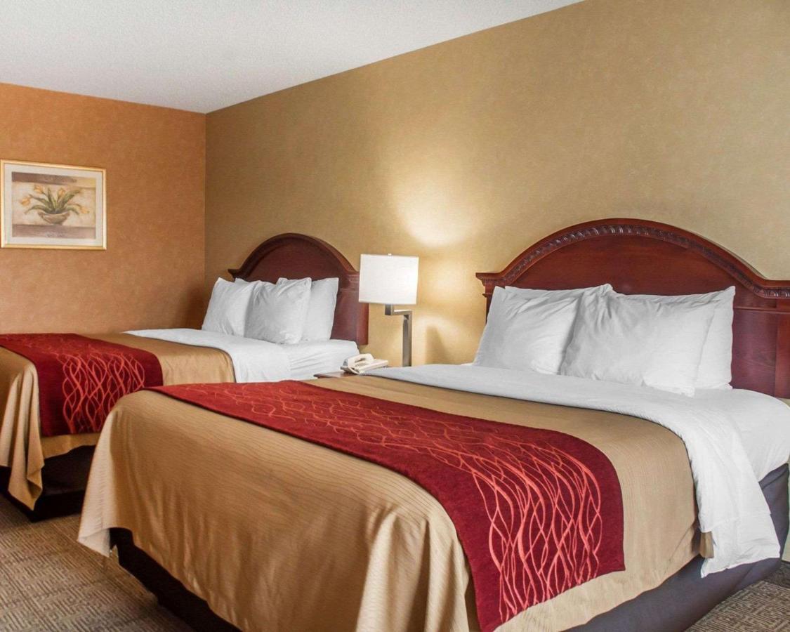 | Quality Inn Near Walden Galleria Mall