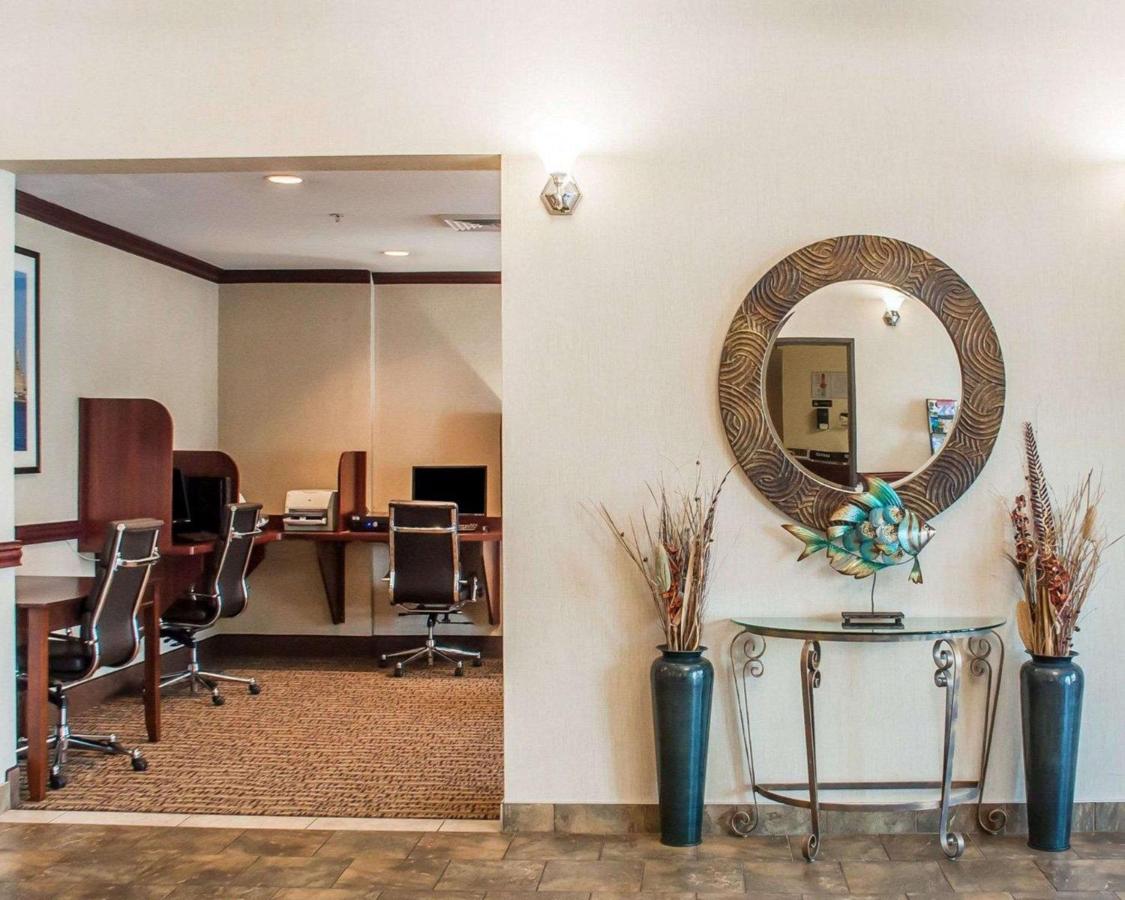 | Quality Inn Near Walden Galleria Mall