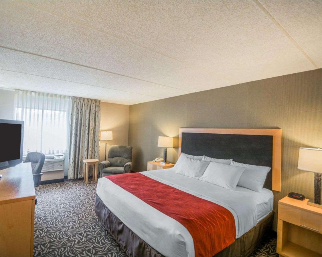 King Room - Non-Smoking at Comfort Inn - NYS Fairgrounds