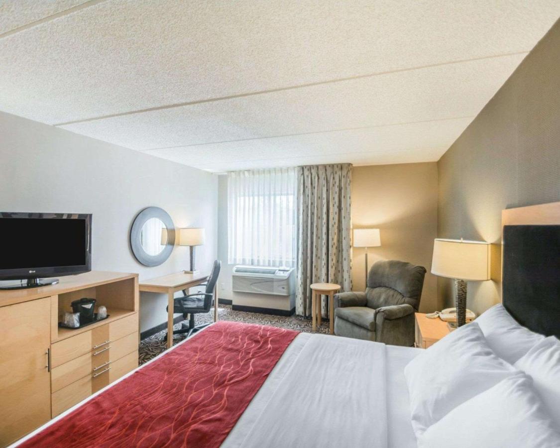 King Room - Non-Smoking at Comfort Inn - NYS Fairgrounds