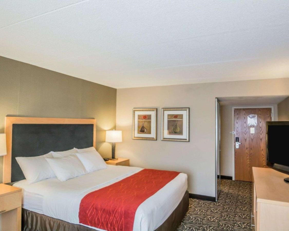 King Room - Non-Smoking at Comfort Inn - NYS Fairgrounds