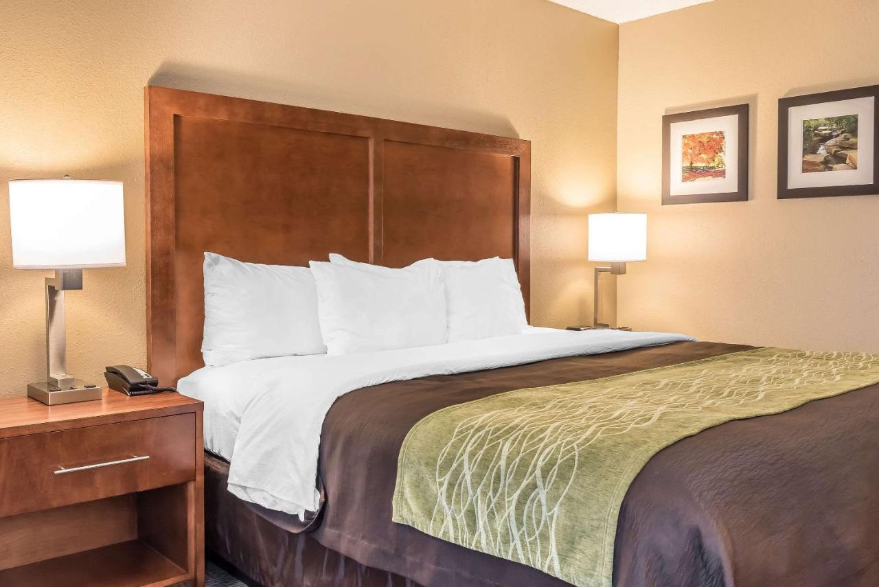 Standard King Room - Non-Smoking  at Comfort Inn & Suites Piqua-Near Troy-I75