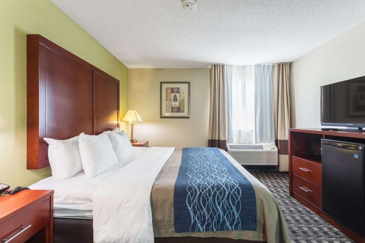 King Room - Non-Smoking at Comfort Inn Decatur Priceville