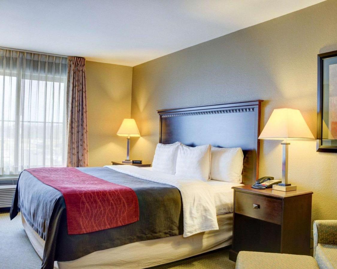 King Room - Non-Smoking at Comfort Inn & Suites Russellville I-40