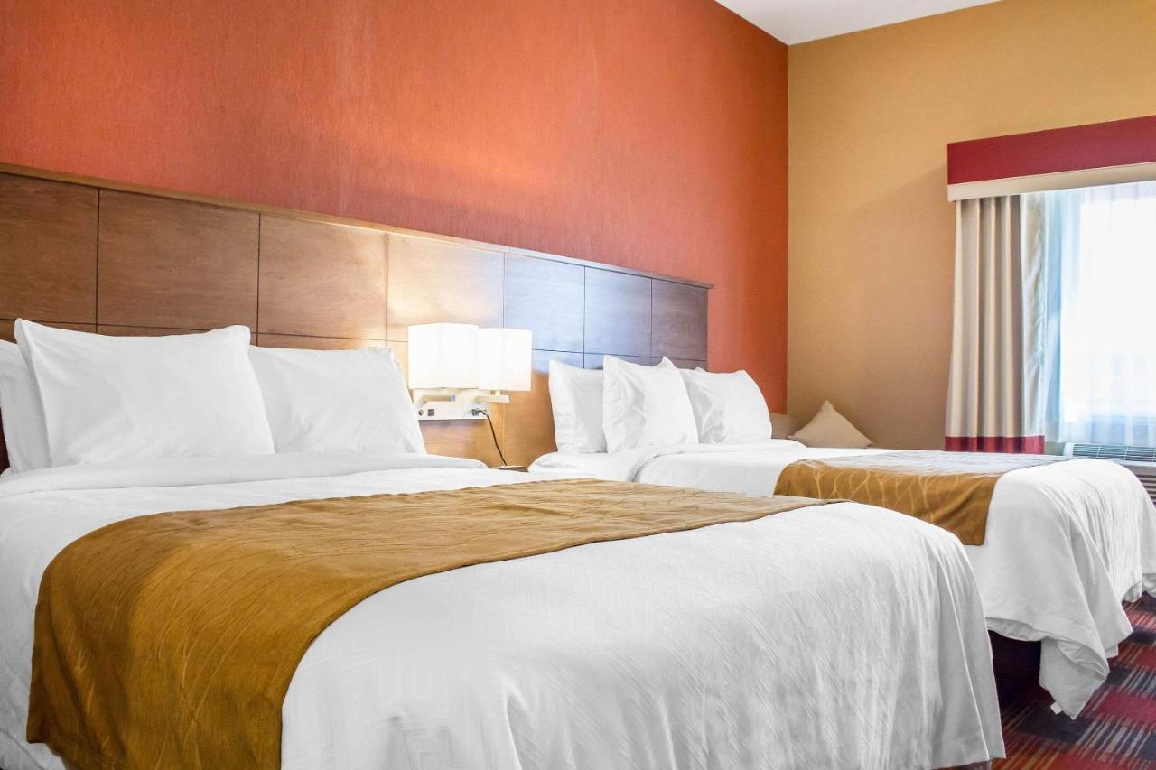 Queen Room with Two Queen Beds and Refrigerator - Non-Smoking at Comfort Inn Flagstaff Lucky Lane I-40