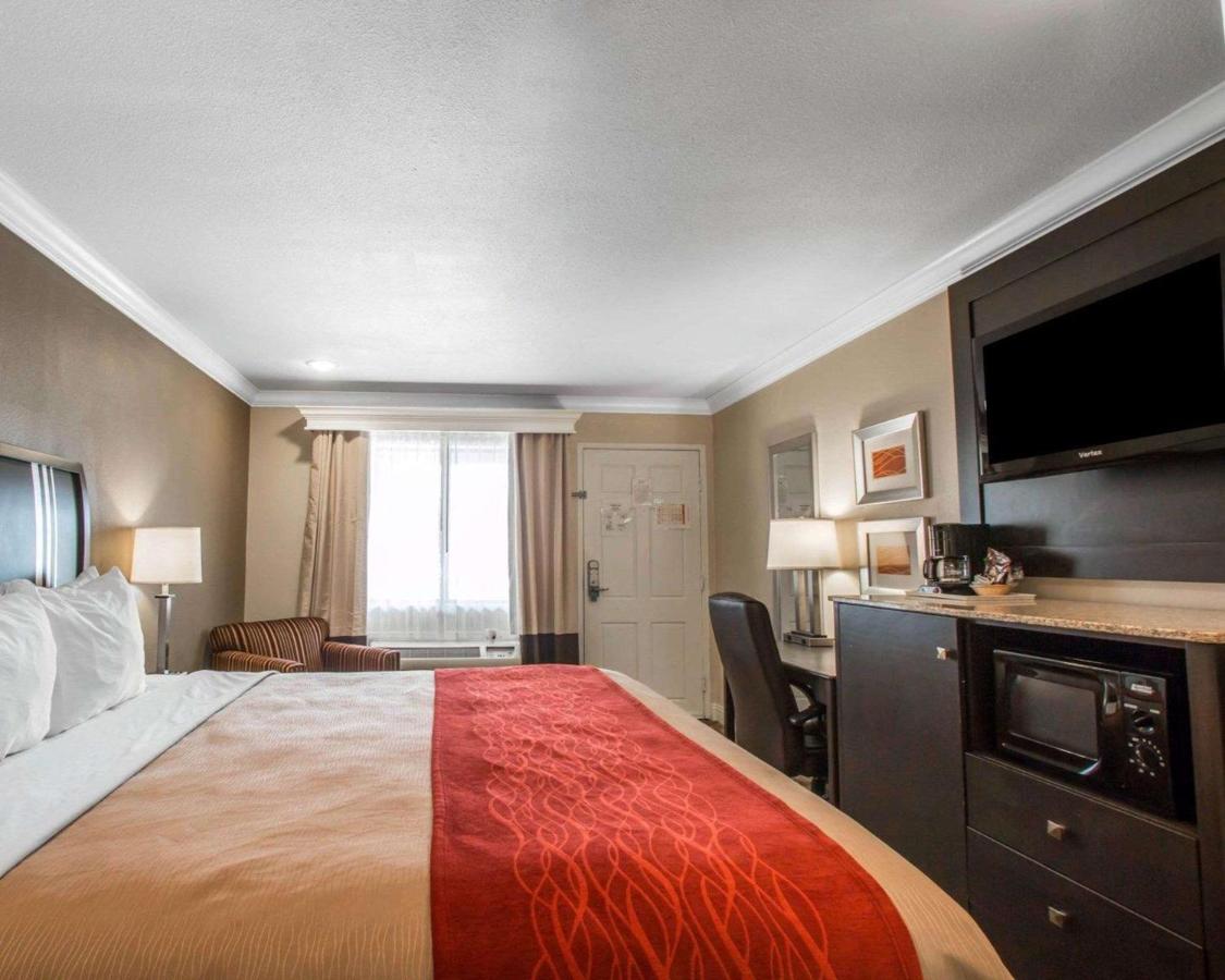 Standard Room, 1 King Bed, Non Smoking at Quality Inn Downey