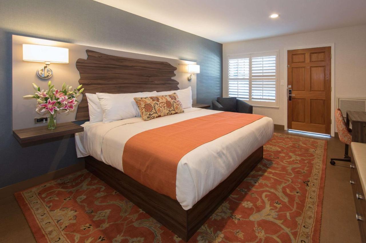 | The Vine Inn Davis
