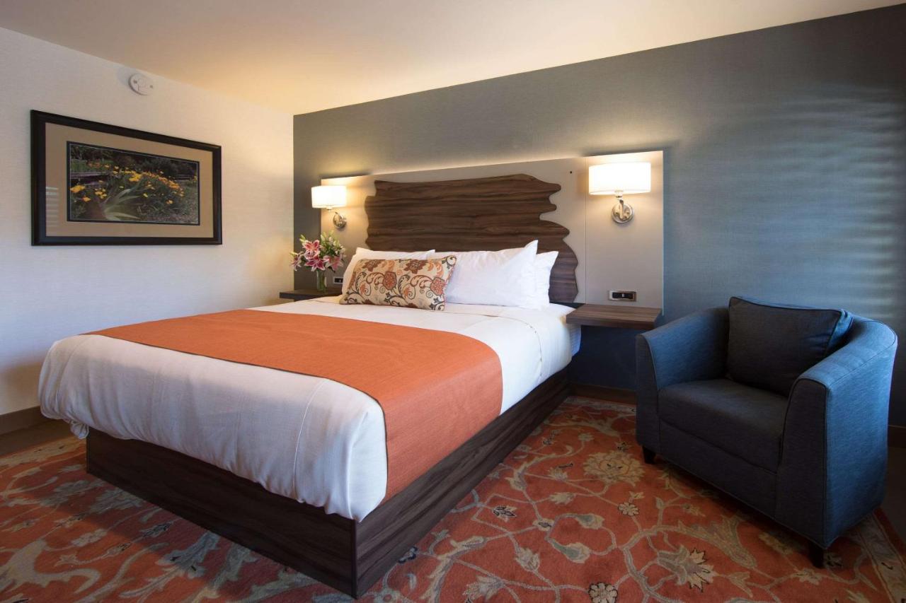 | The Vine Inn Davis