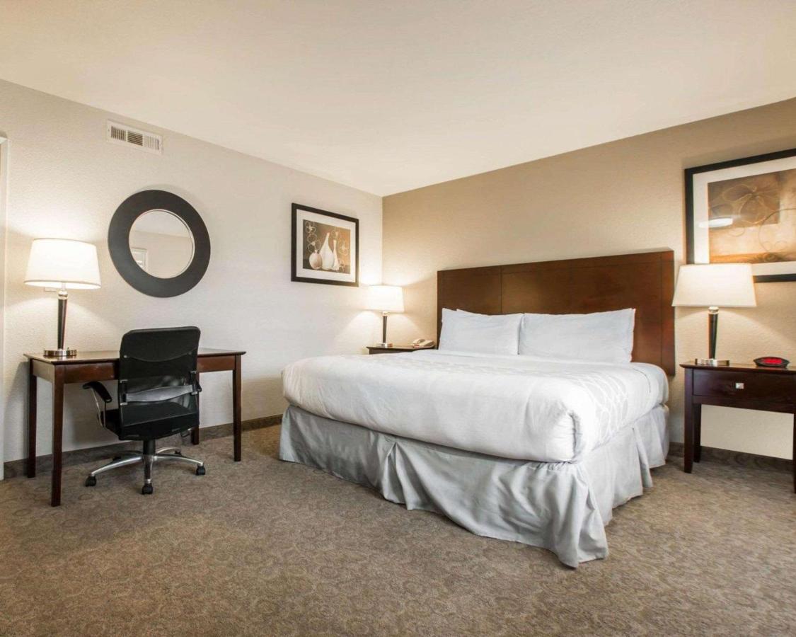 Room #5916208 at Rodeway Inn Los Angeles Convention Center