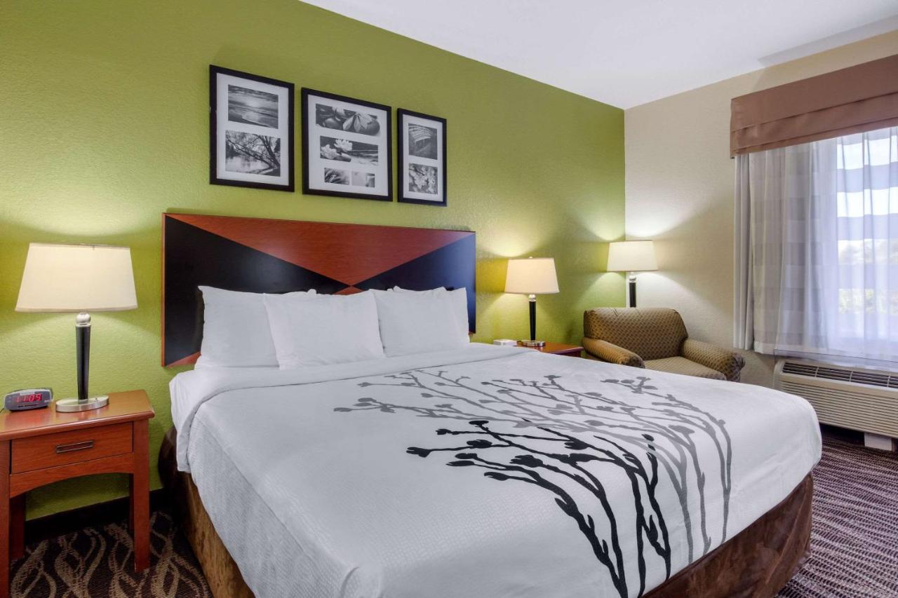King Room - Non-Smoking at Sleep Inn & Suites Montgomery East I-85