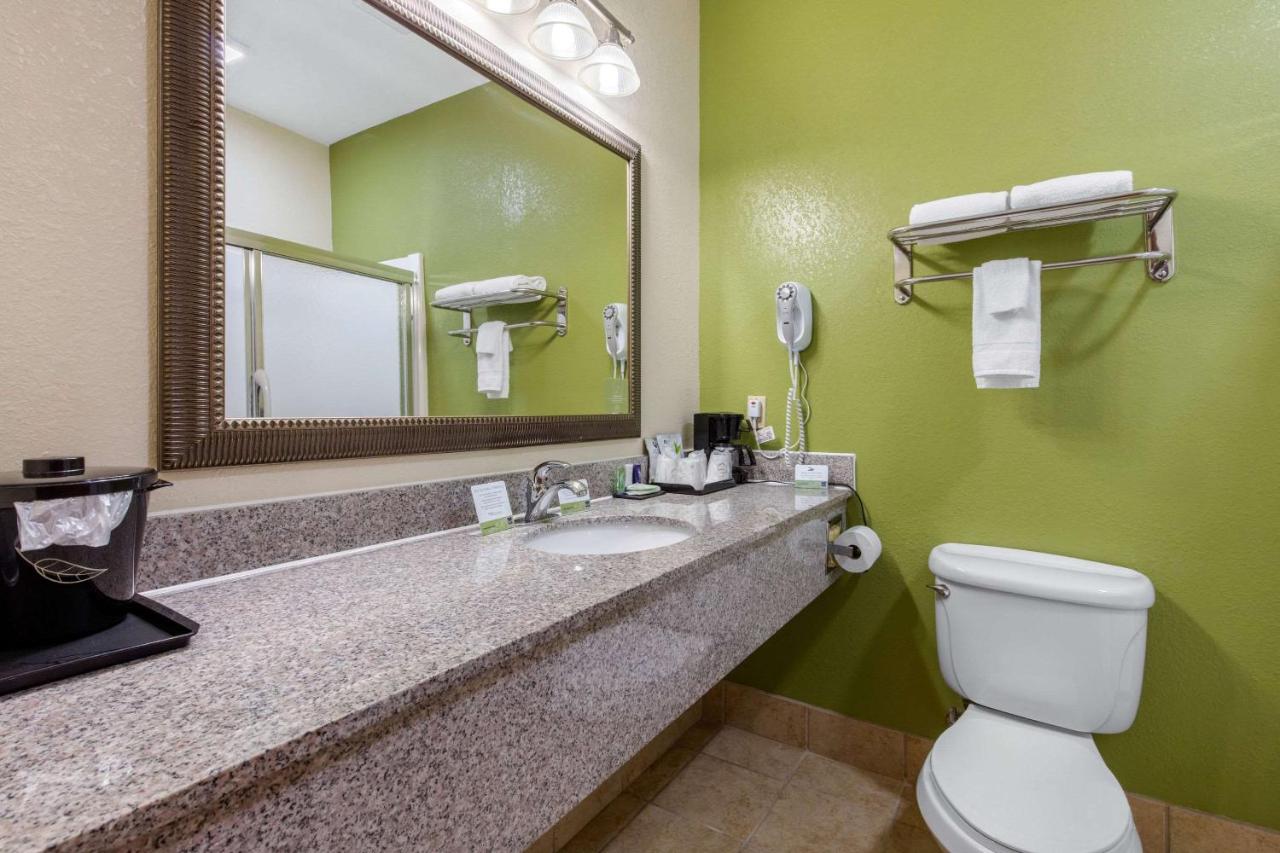 King Suite - Non-Smoking at Sleep Inn & Suites Montgomery East I-85
