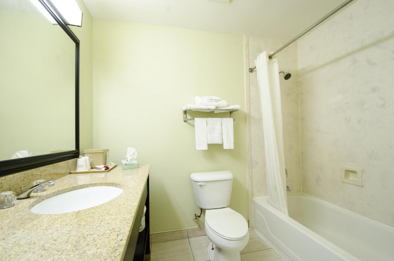 Queen Room with Two Queen Beds - Non-Smoking at Super 8 by Wyndham Hull Street Midlothian / Richmond Area