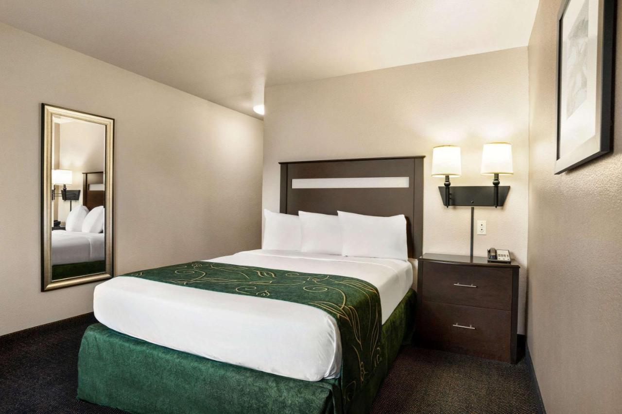 Deluxe Queen Room - Mobility Access/Non-Smoking at Travelodge by Wyndham Yuma