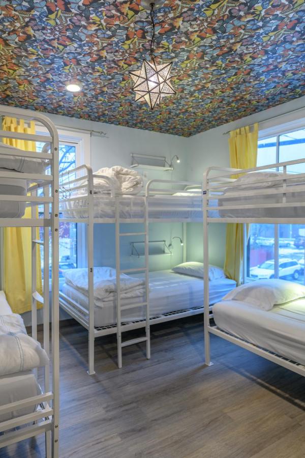 | Black Elephant Hostel