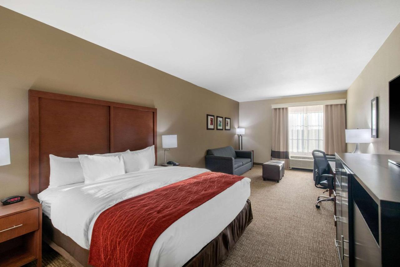 Room #24483409 at Comfort Inn & Suites Cedar Hill Duncanville
