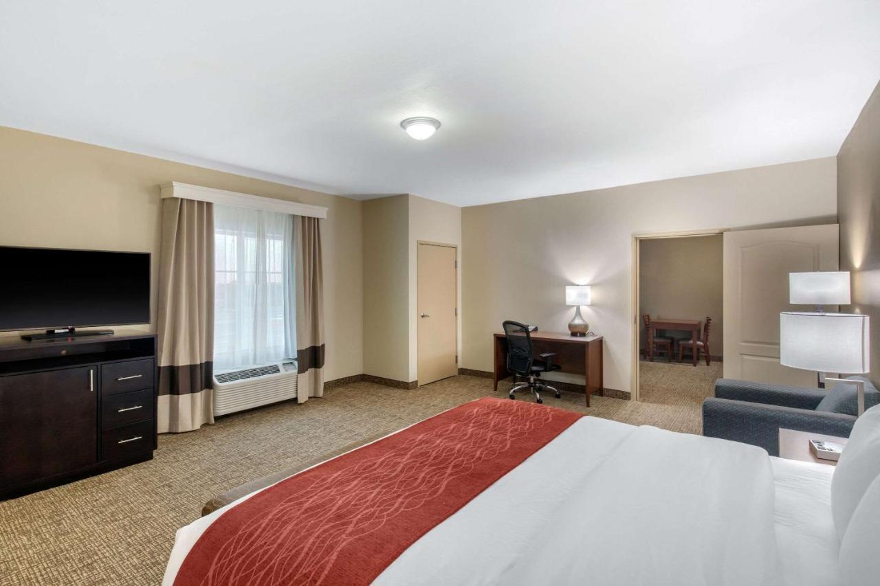Room #24483408 at Comfort Inn & Suites Cedar Hill Duncanville