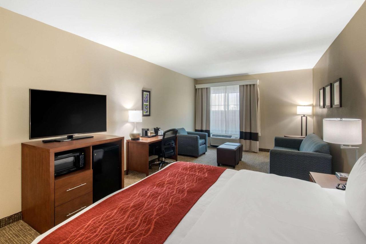 Room #24483409 at Comfort Inn & Suites Cedar Hill Duncanville