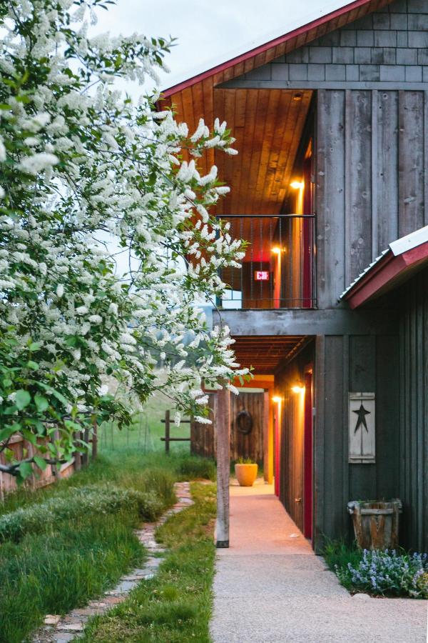 | Mt Gardner Inn