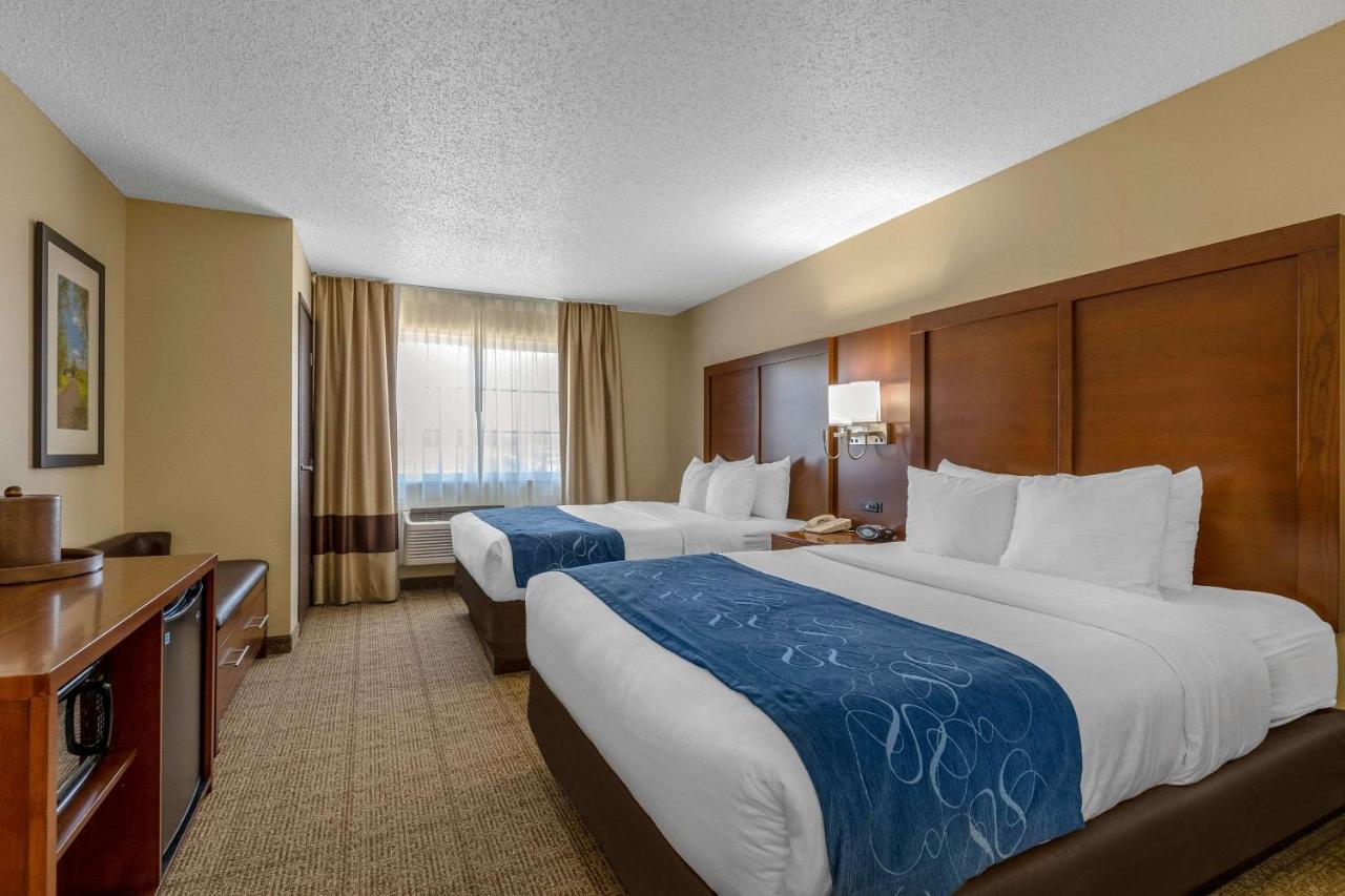 Queen Suite with Two Queen Beds - Non-Smoking at Comfort Suites Cedar Falls Industrial Park