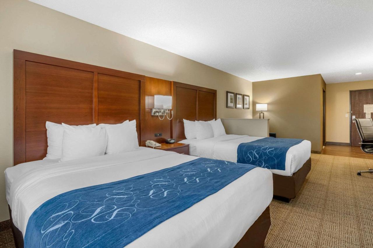 Queen Suite with Two Queen Beds - Non-Smoking at Comfort Suites Cedar Falls Industrial Park