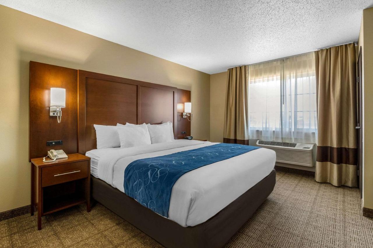 King Suite - Non-Smoking at Comfort Suites Cedar Falls Industrial Park