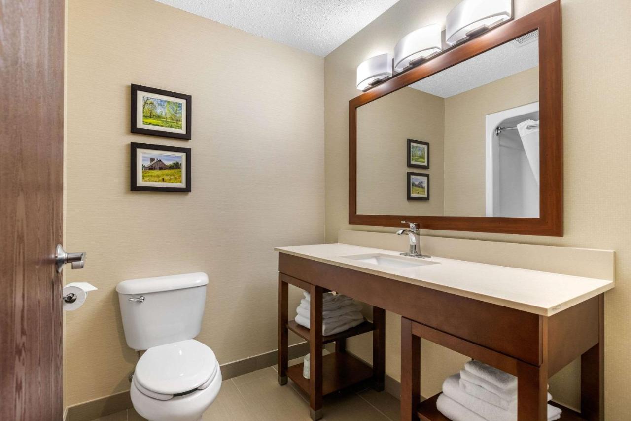 King Suite - Non-Smoking at Comfort Suites Cedar Falls Industrial Park